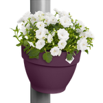 vibia campana fallrohrpflanzgefäss 22cm ahorn lila